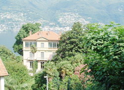 Villa Cardinale, Pino Lago Maggiore