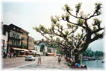 Promenade Ascona