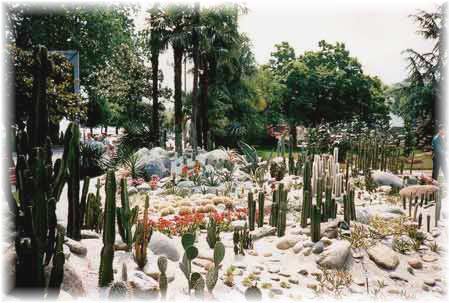 Blumen-Ausstellung KAKTEEN-GARTEN in Locarno