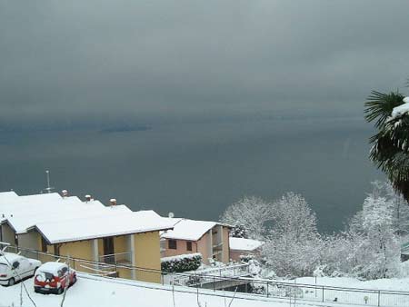 Pino im Winter -  es gibt auch freundlichere Tage als diesen