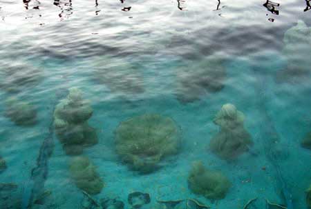 Unterwasserkrippe Laveno - Figuren
