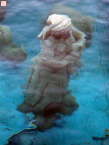 Unterwasserkrippe - Figur