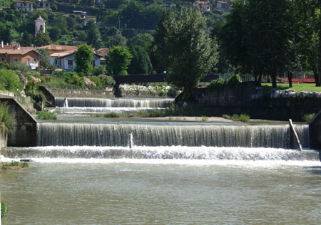 Palmen entlang der Uferpromenade in Maccagno