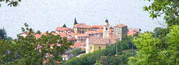 Pino Lago Maggiore