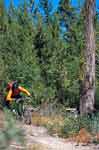 Mountainbiking Lago Maggiore