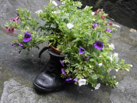 Blumen Schuh